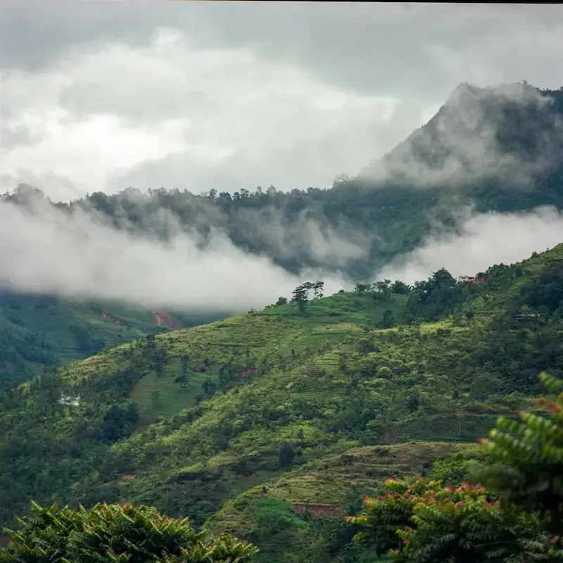 Manasek Travel & Tourism gallery photo 1