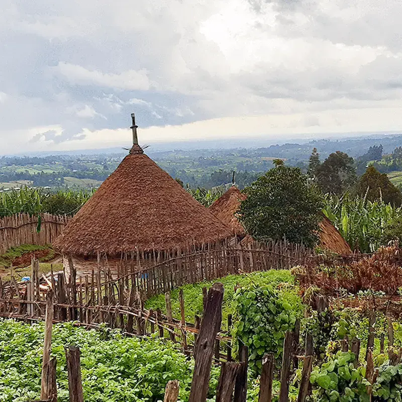 Manasek Travel & Tourism gallery photo 2